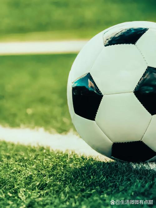 足球数据研究者场景